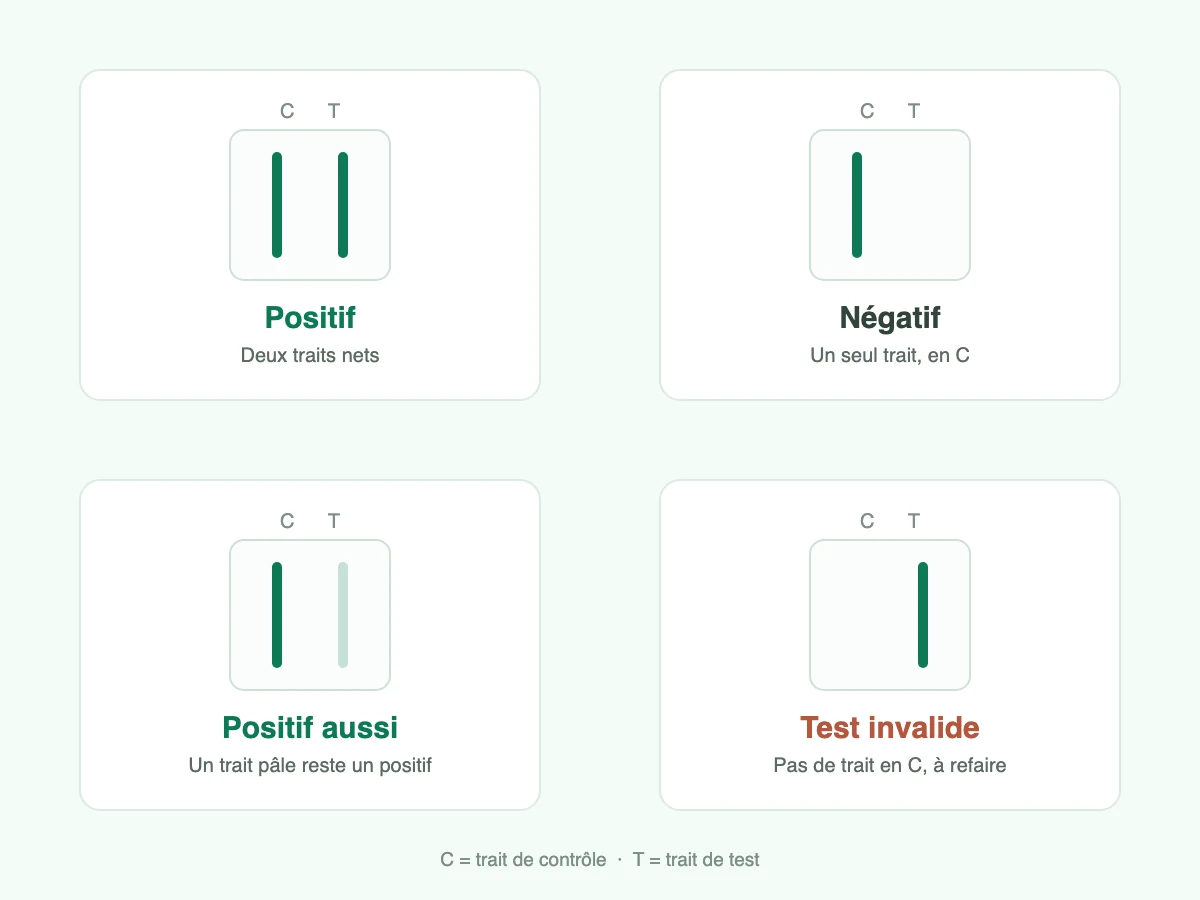 Comment lire un test de grossesse : positif, négatif, trait pâle et test invalide